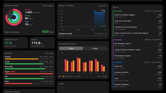 Food and fitness tracker dashboard screenshot from @AnotherHumanSol's post