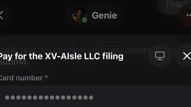 LLC filing payment step screenshot from @Ortix008's post